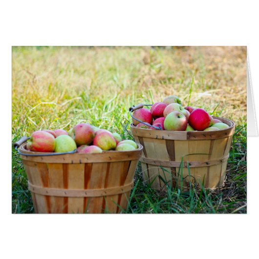 Apple Baskets Cards (Front Horizontal)