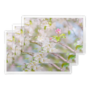 Apple blossom - Beauty Acrylic Tray