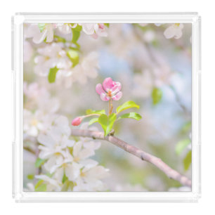Apple blossom - Beauty Acrylic Tray
