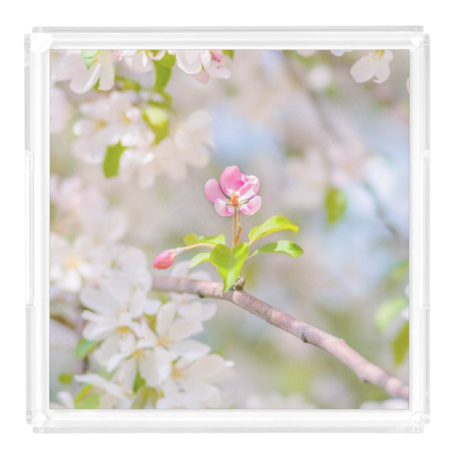 Apple blossom - Beauty Acrylic Tray (Large)