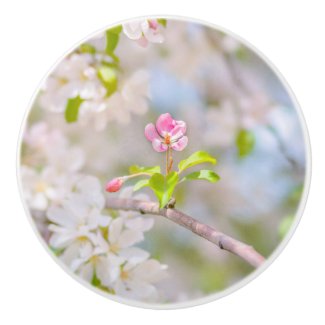 Apple blossom - Beauty Ceramic Knob