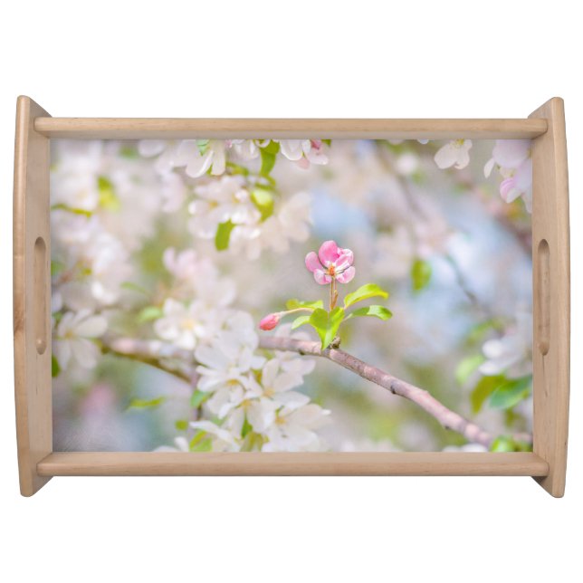 Apple blossom - Beauty Serving Tray (Front)