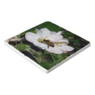 Apple Blossom & Bee Macro Photo   Ceramic Trivet