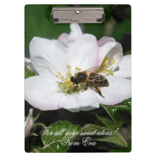 Apple Blossom & Bee Macro Photo   Custom Clipboard