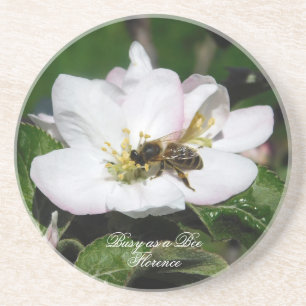 Apple Blossom & Bee Macro Photo Sandstone Coaste Coaster