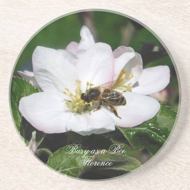 Apple Blossom & Bee Macro Photo | Sandstone Coaste Coaster (Front)