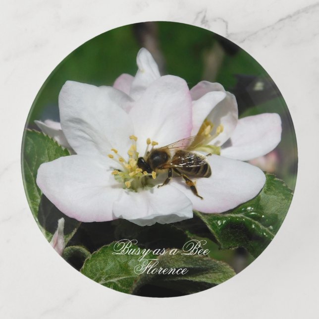 Apple Blossom & Bee Macro Photo | Trinket Tray (Front)