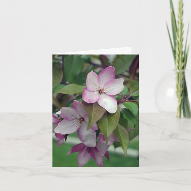 Apple Blossom Birthday Card (Front)