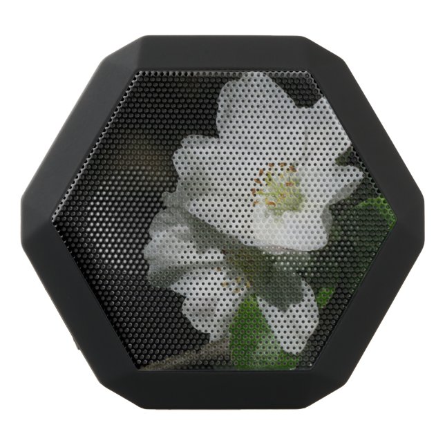Apple blossom black bluetooth speaker (Front)