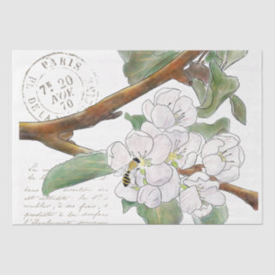 Apple Blossom Branch Bee French Script Decoupage Tissue Paper