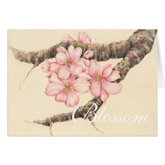 Apple Blossom Branch Cards (Front Horizontal)