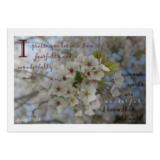 Apple blossom card (Front Horizontal)