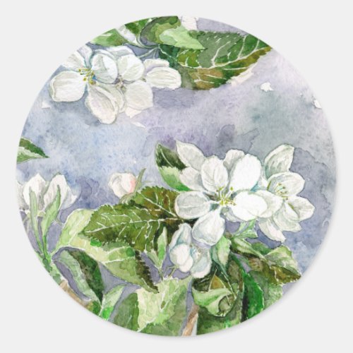 Apple blossom classic round sticker