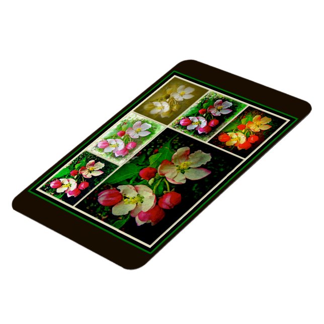 Apple Blossom Collage - Enhanced Digital Photo Magnet (Left Side)