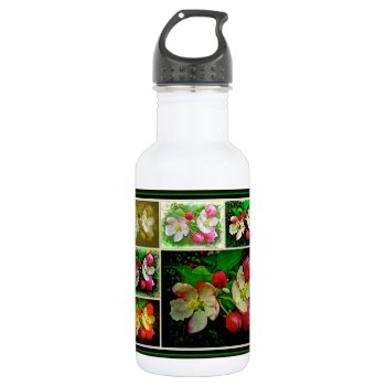 Apple Blossom Collage - Enhanced Digital Photo Water Bottle by CarolsCamera at Zazzle
