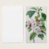 Apple Blossom, from 'Les Choix des Plus Belles (Front & Back)