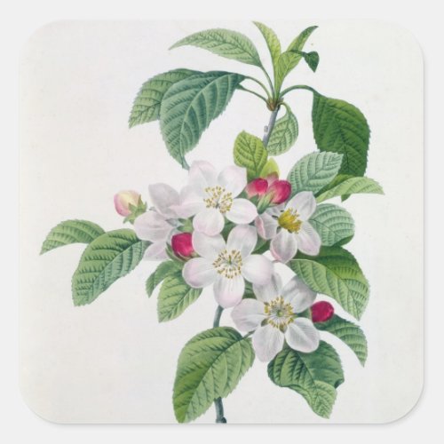 Apple Blossom from Les Choix des Plus Belles Square Sticker