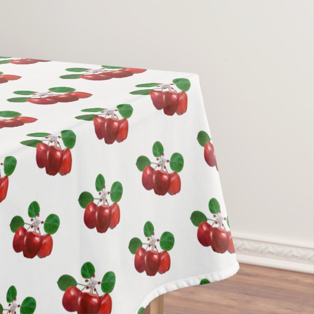 Apple Blossom & Fruits on Branch on White Tablecloth (In Situ)