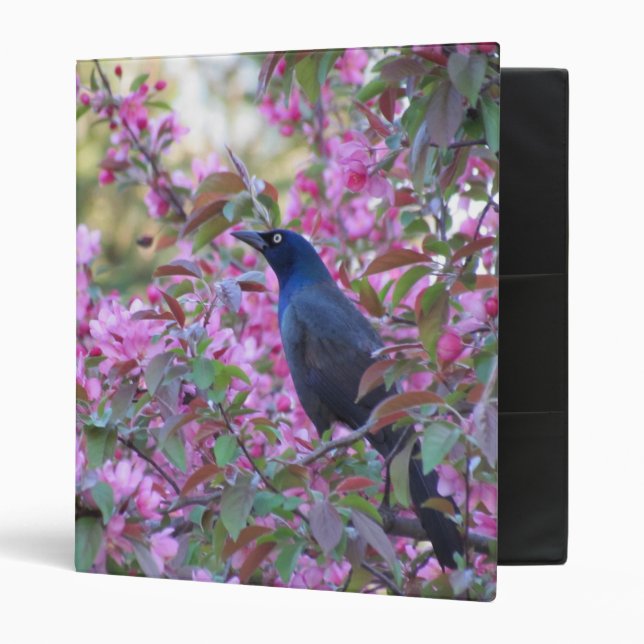 Apple Blossom Grackle 3 Ring Binder (Front/Inside)