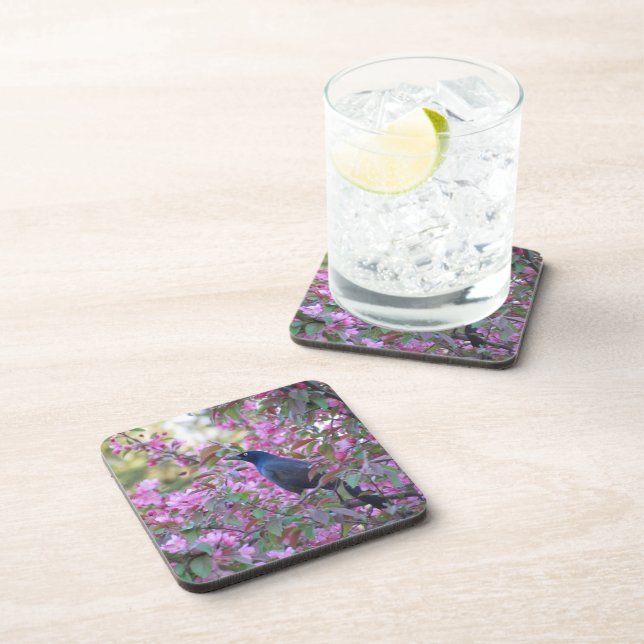 Apple Blossom Grackle Drink Coaster (Right Side)