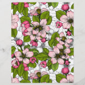 Apple blossom on white (Back)