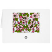 Apple blossom on white (Back Horizontal)