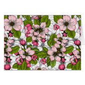 Apple blossom on white (Front Horizontal)