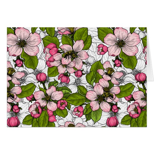 Apple blossom on white (Front Horizontal)