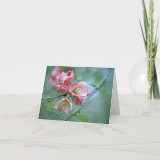 Apple Blossom #P0356 Card