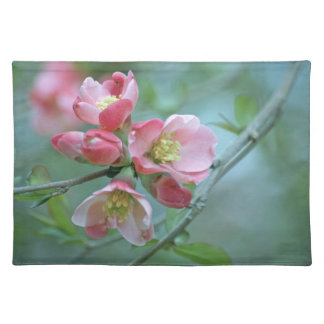 Apple Blossom #P0356 Placemats