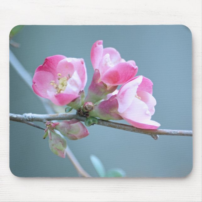 Apple Blossom #P0358 Mousepad (Front)