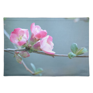 Apple Blossom #P0358 Placemats