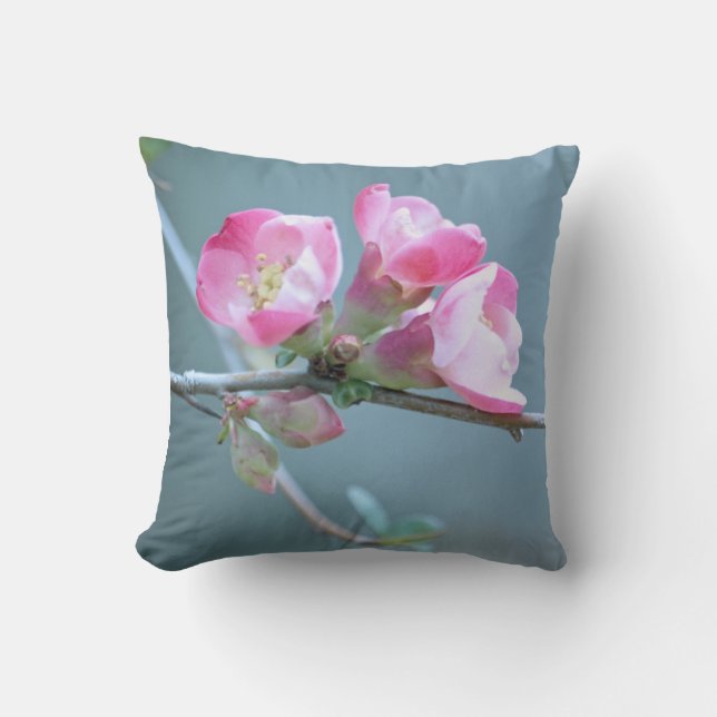 Apple Blossom #P0358 Throw Pillow (Front)