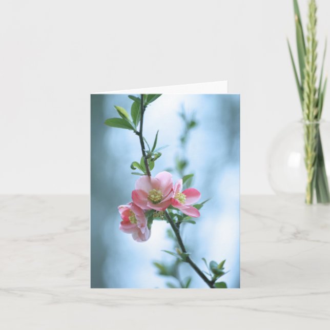 Apple Blossom #P0365 Card (Front)