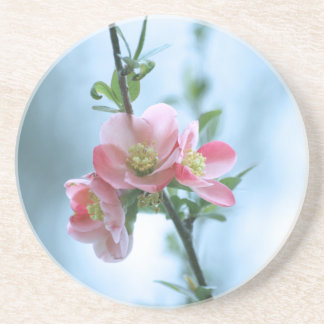 Apple Blossom #P0365 Coaster