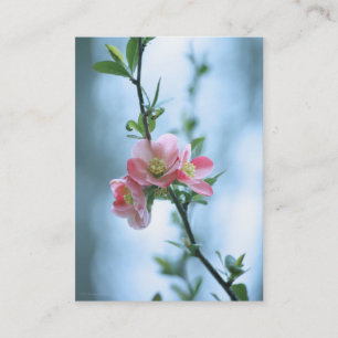 Apple Blossom #P0365 Mini Print Business Card