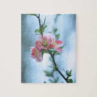Apple Blossom #P0365 Puzzle