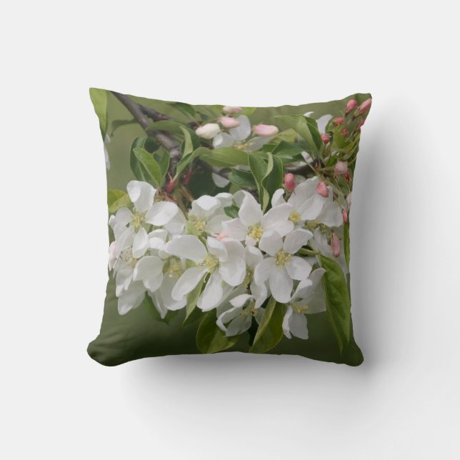 Apple blossom pillow - an apple a day (Front)
