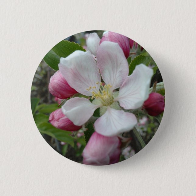 Apple Blossom Pinback Button (Front)