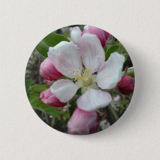 Apple Blossom Pinback Button