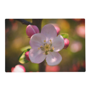 Apple Blossom Placemat