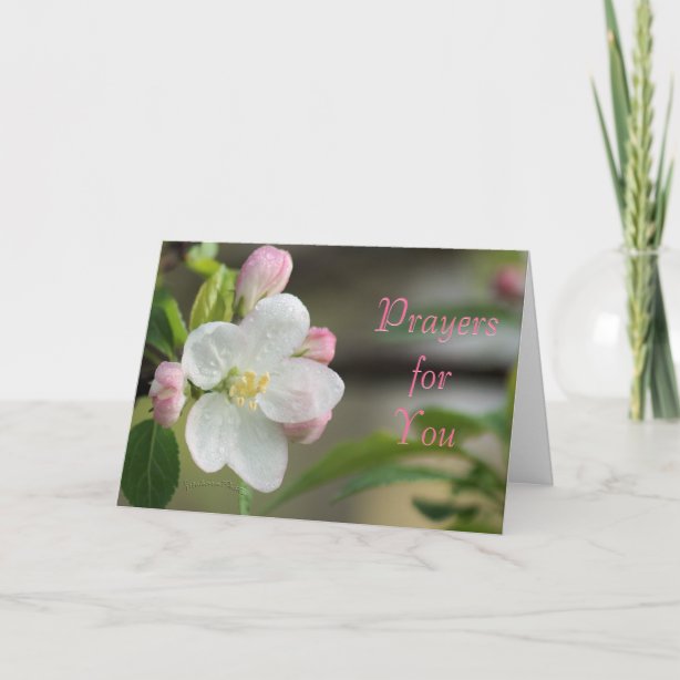 Prayer Holiday Cards Custom Holiday Cards Zazzle