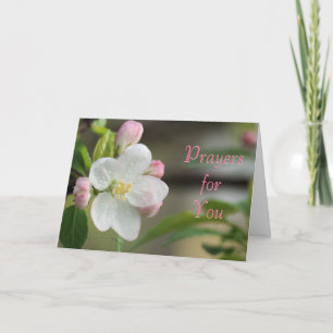 Apple Blossom Prayer card- or any occasion Holiday Card