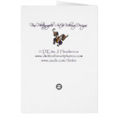 Apple Blossom Sketch Card (Back)