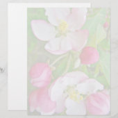 Apple Blossom Time (Front/Back)