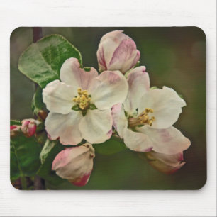Apple Blossom Time Mouse Pad