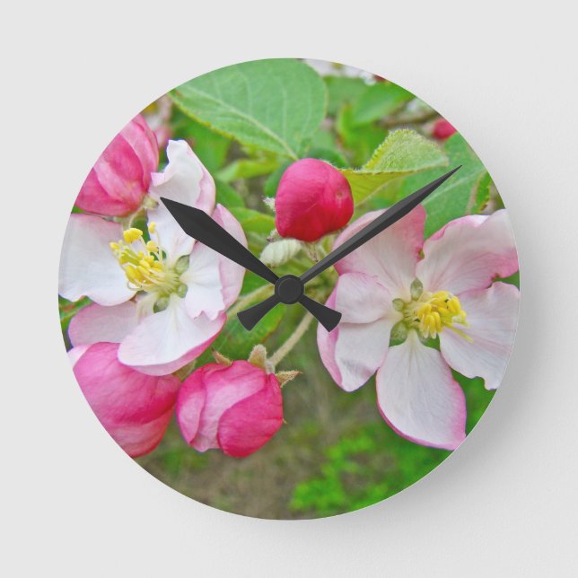 Apple Blossom Time Round Clock (Front)