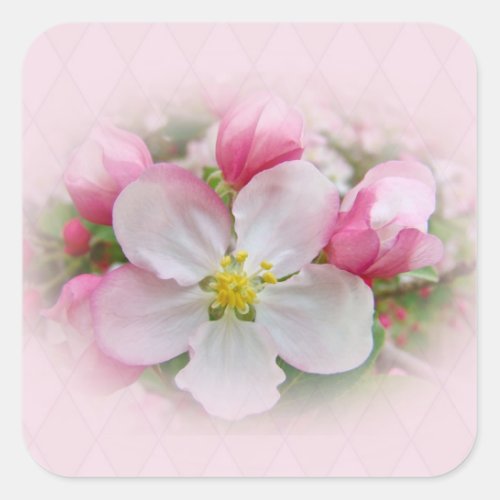 Apple Blossom Time Square Sticker