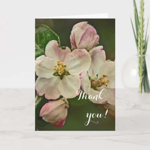 Apple Blossom Time Thank You Card