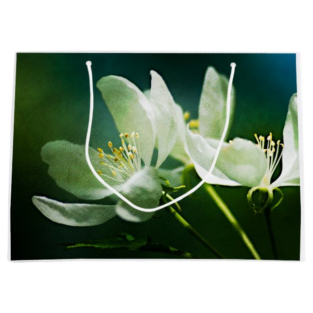 Apple Blossom - Two Flowers Large Gift Bag (Front)